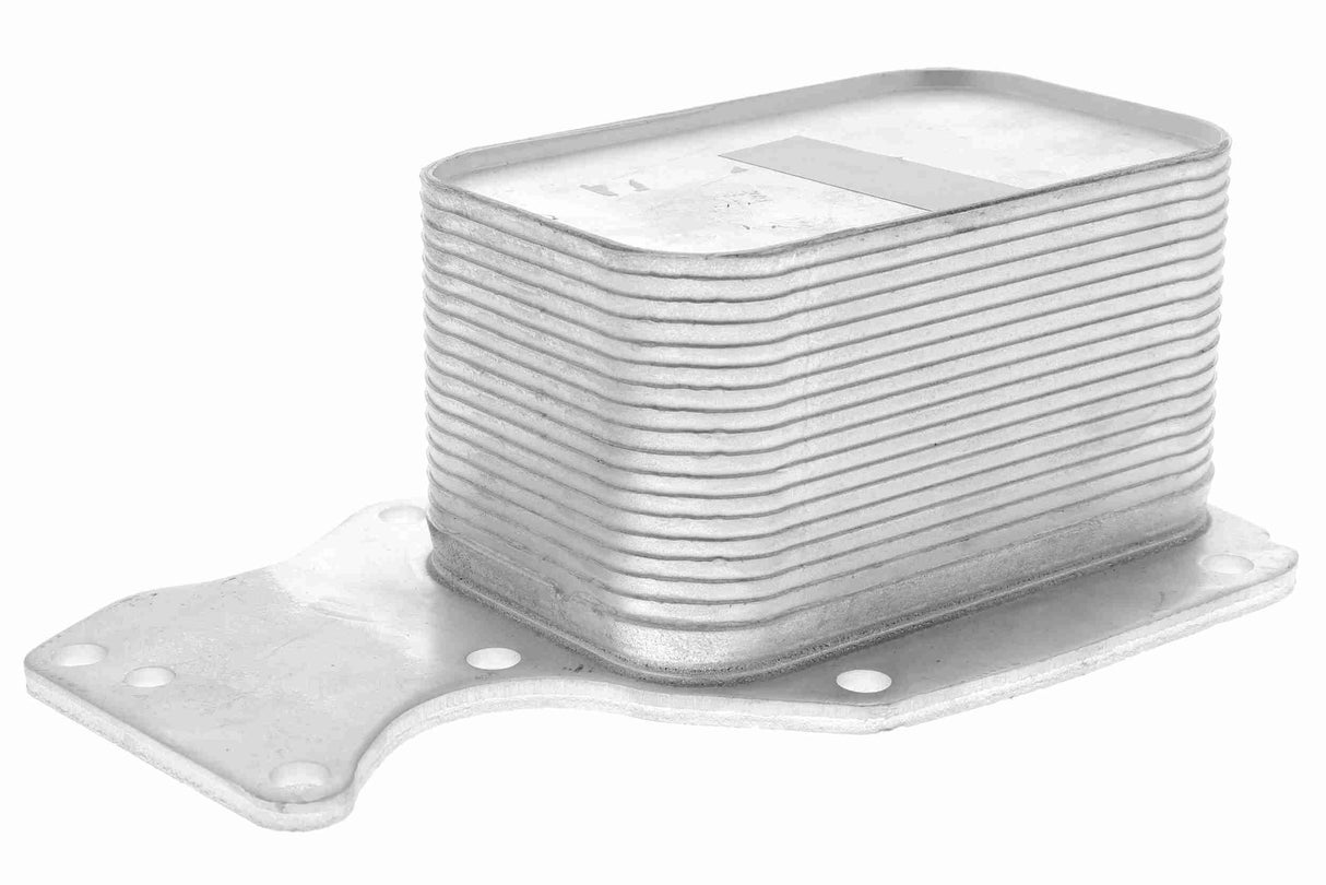 Oil Cooler, engine oil - V20-60-0055