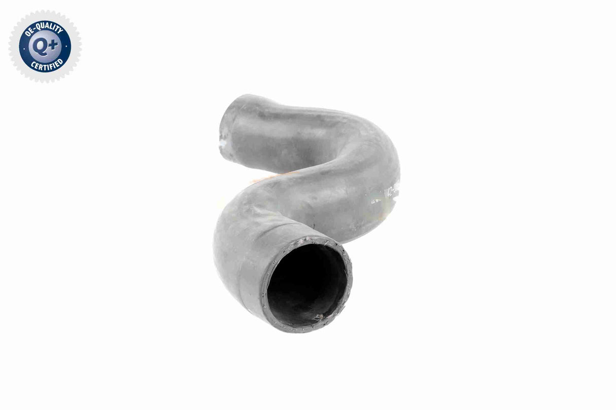 Charge Air Hose - V42-0578