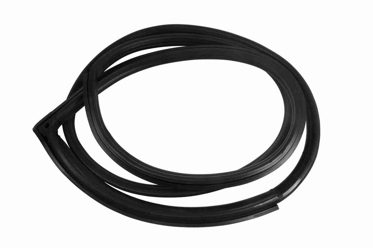 Door Seal - V30-1569