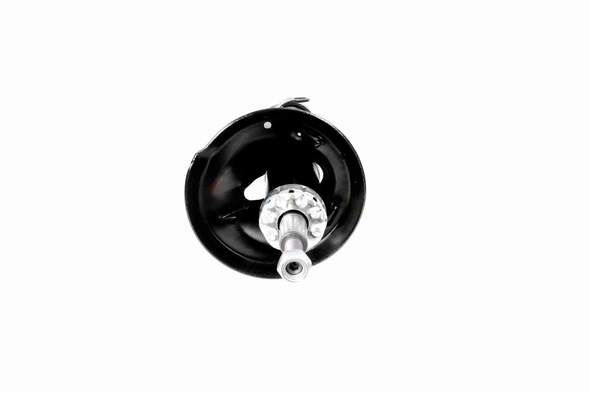 Shock Absorber - V10-1705