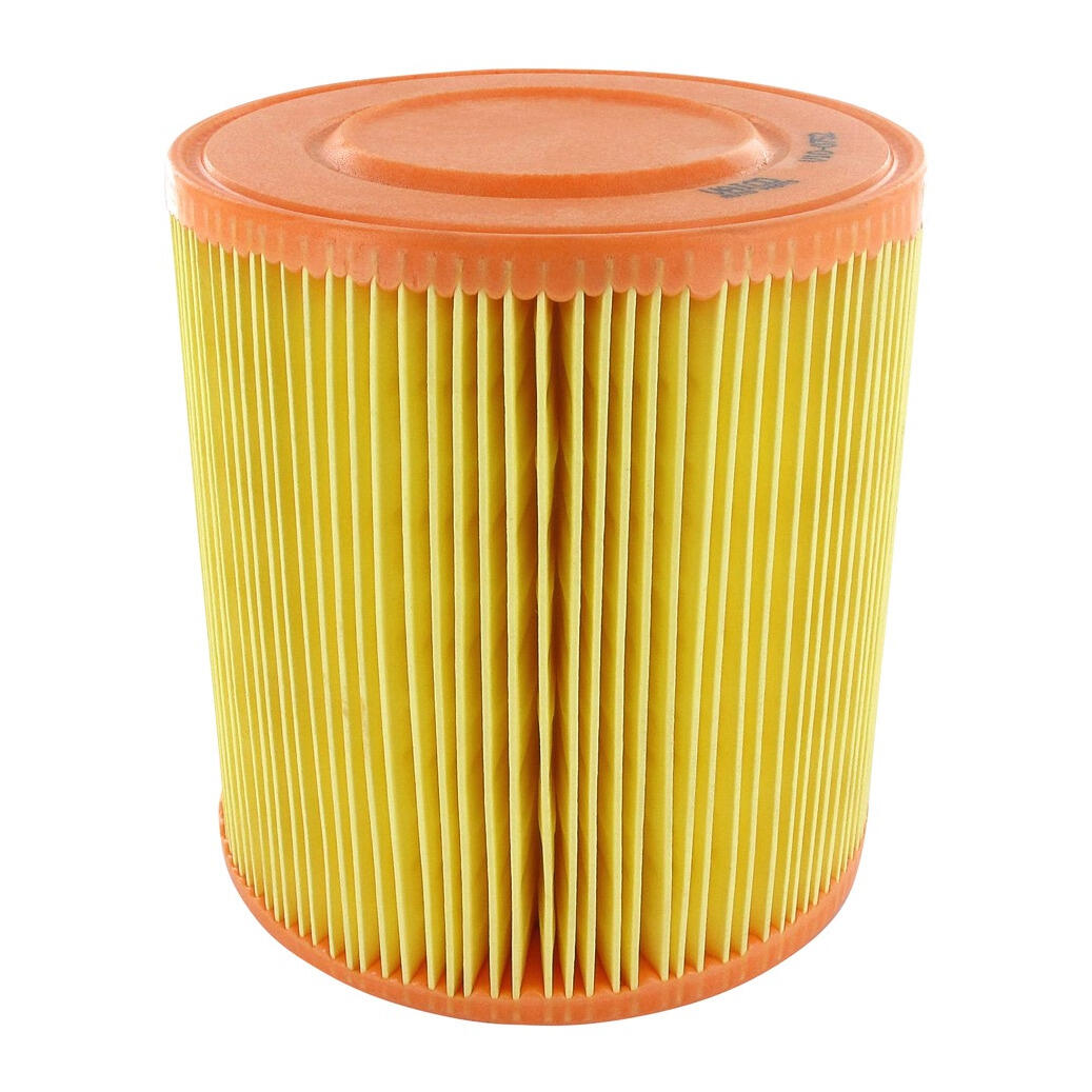 VW Air Filter - VAICO V10-0752