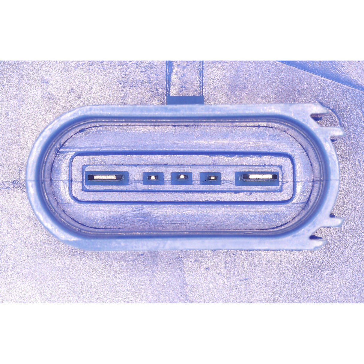 AUDI Fuel Feed Unit 1K0919051DB - VEMO V10-09-1236