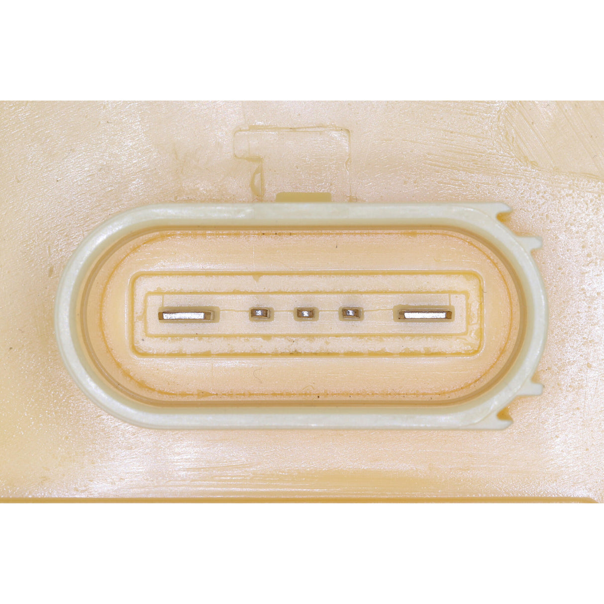 VW Fuel Feed Unit 2K0 919 050 A - VEMO V10-09-1248