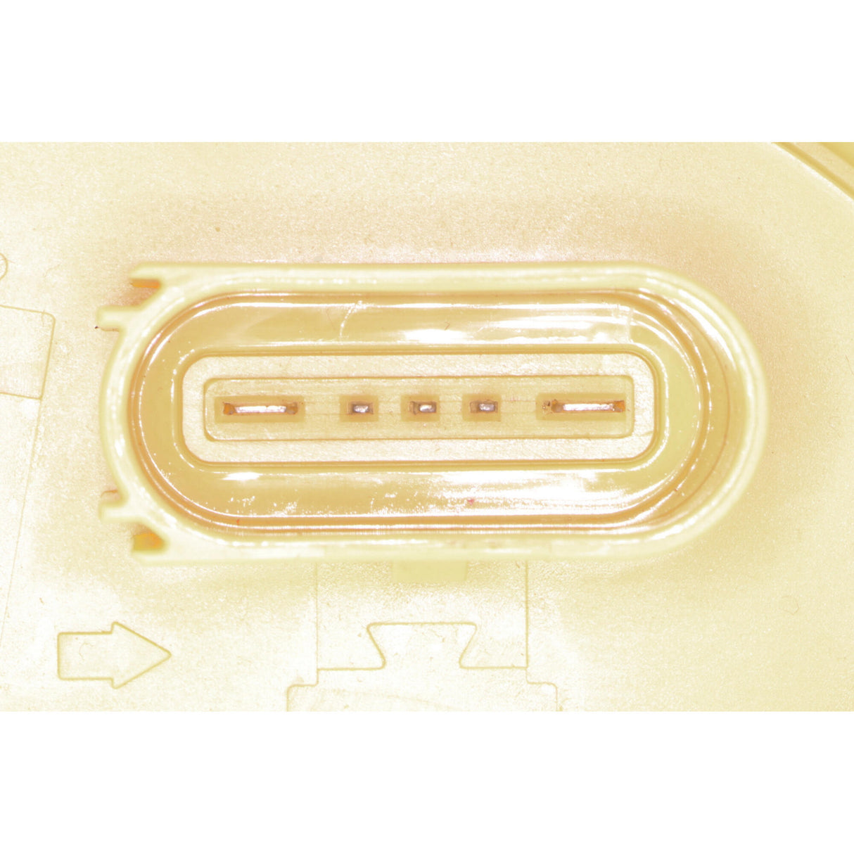 VW Fuel Feed Unit 6C0919050B - VEMO V10-09-1251