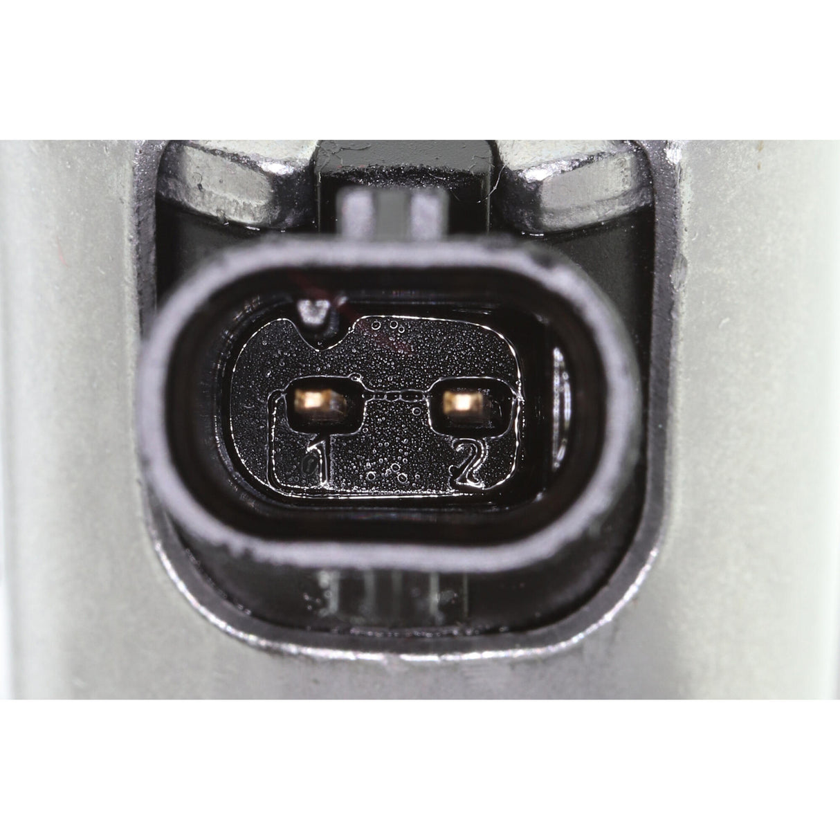 VW Oil Pump - VAICO V10-6604