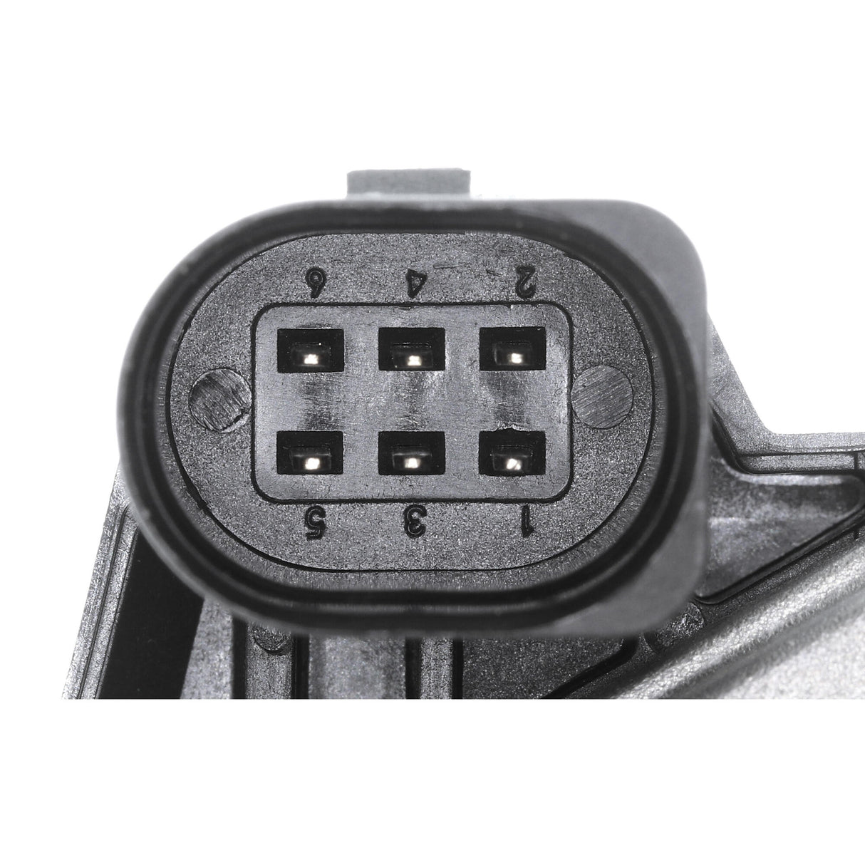 SEAT Throttle body - VEMO V10-81-0075