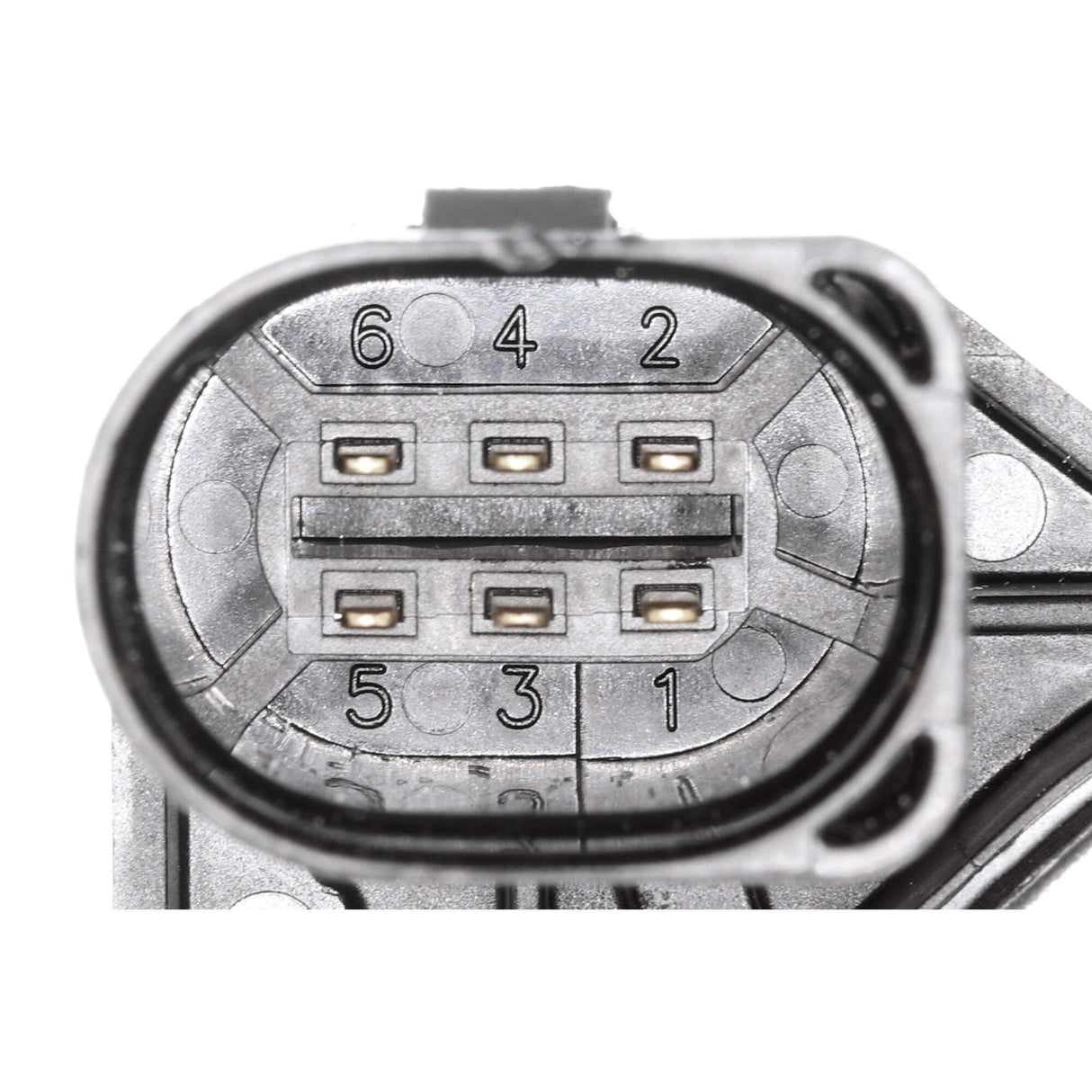 SKODA Throttle body - VEMO V10-81-0099