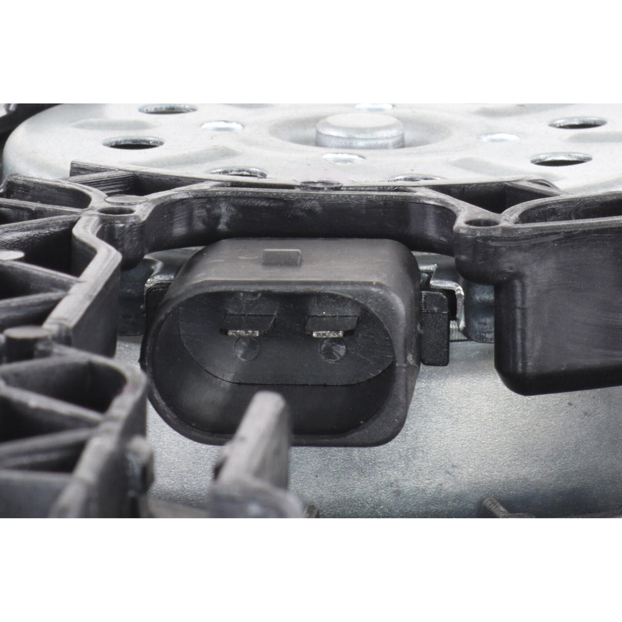 AUDI Fan, engine cooling - VEMO V15-01-1919