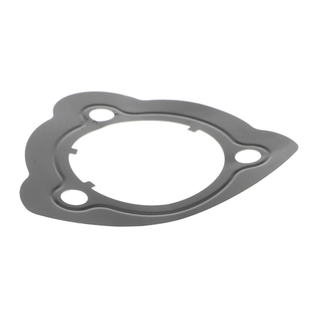 BMW Vacuum Pump, braking system - VAICO V20-1600