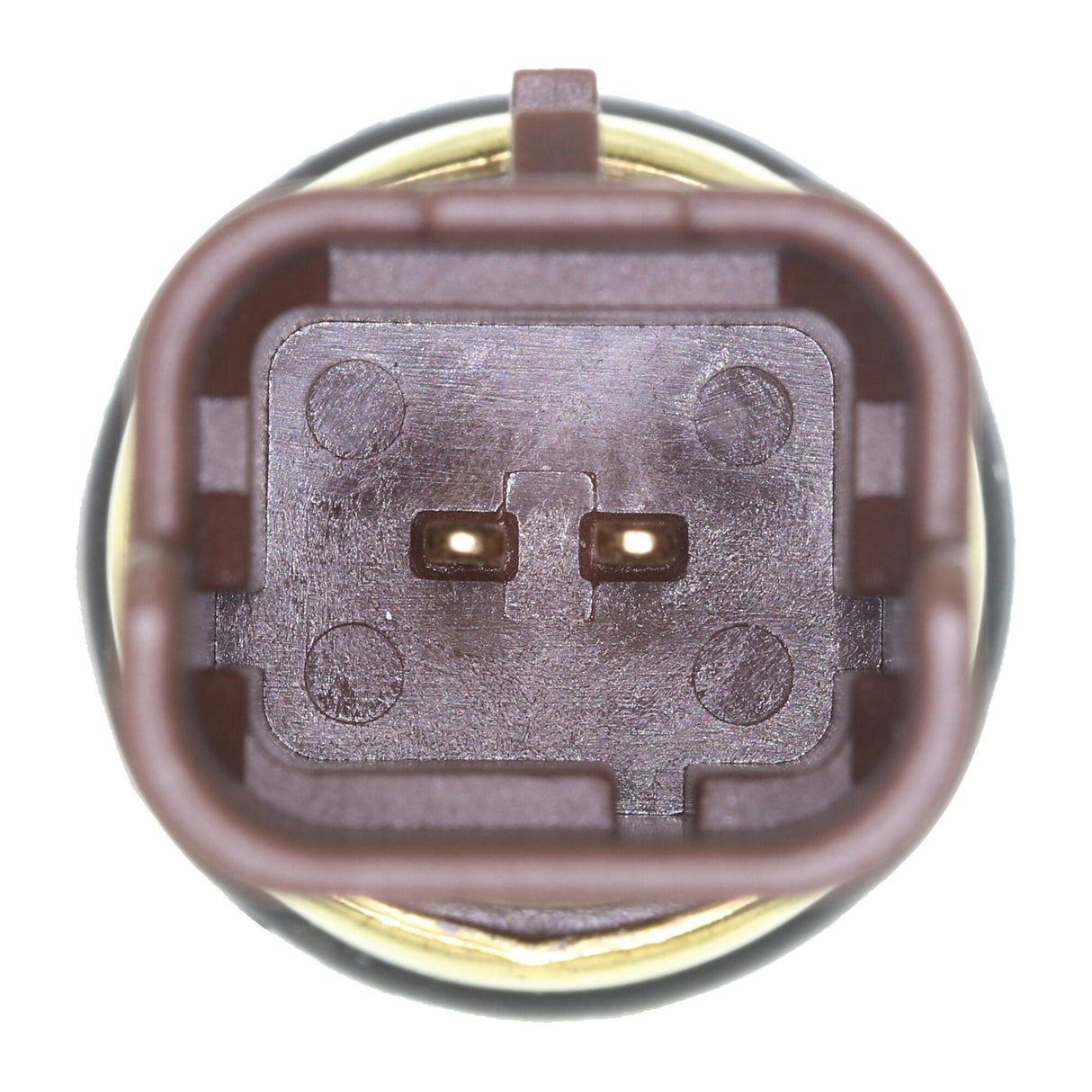 CITROËN Sensor, coolant temperature - VEMO V22-72-0151