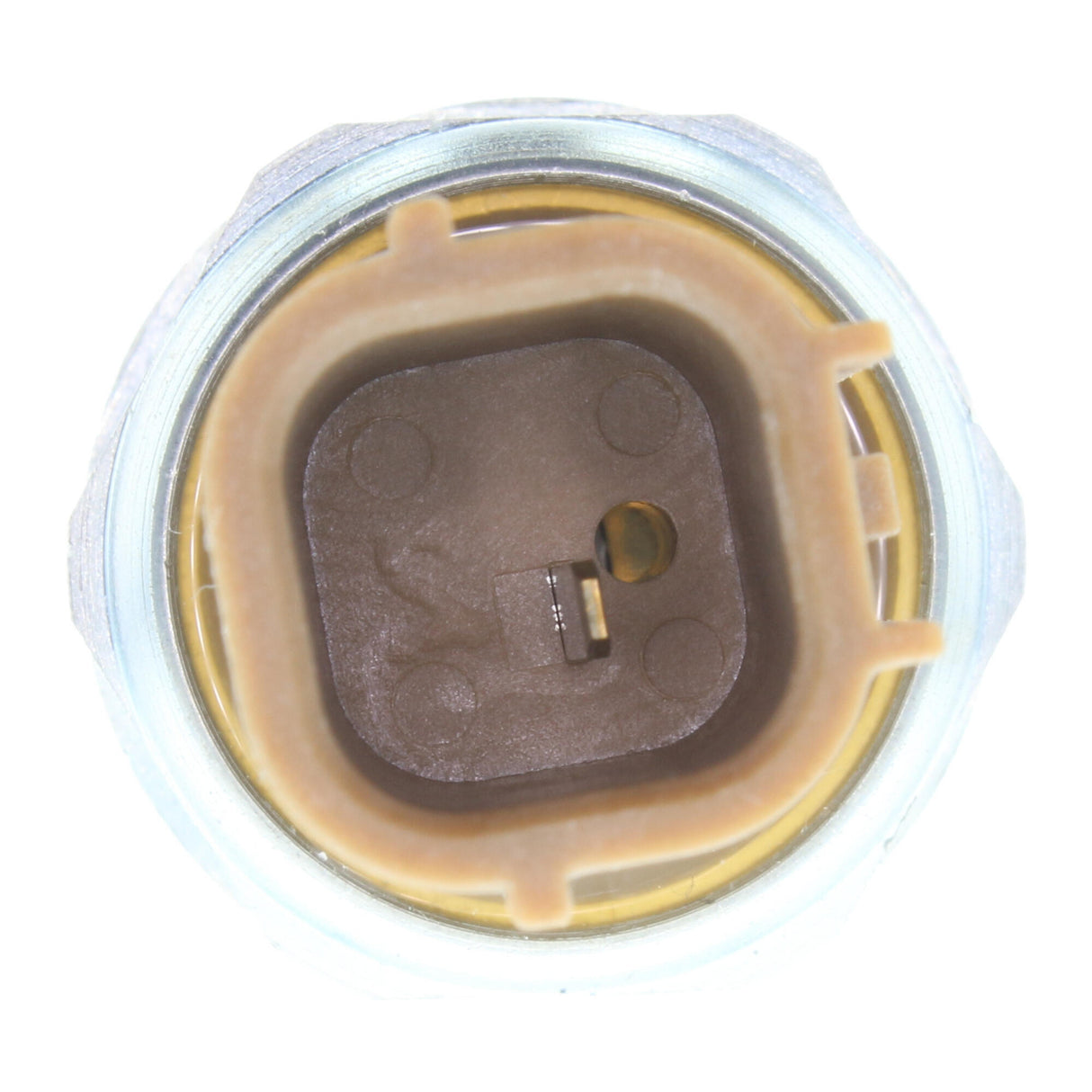 HONDA Oil Pressure Switch - VEMO V26-73-0021