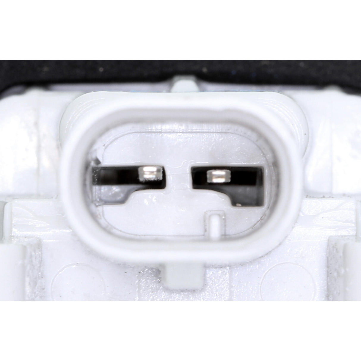 MERCEDES-BENZ Licence Plate Light - VEMO V30-84-0020