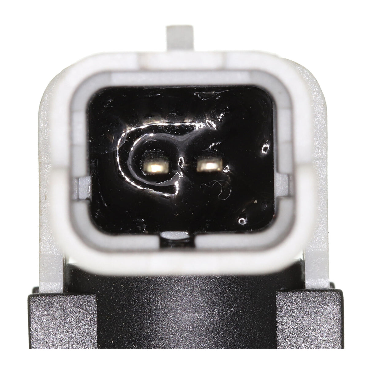 RENAULT Hose, fuel overflow - VAICO V46-1209