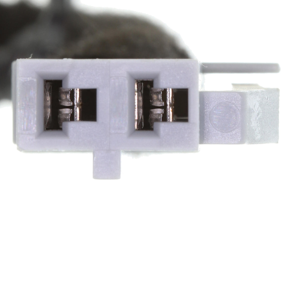 DACIA Clock Spring, airbag - VEMO V46-72-0223