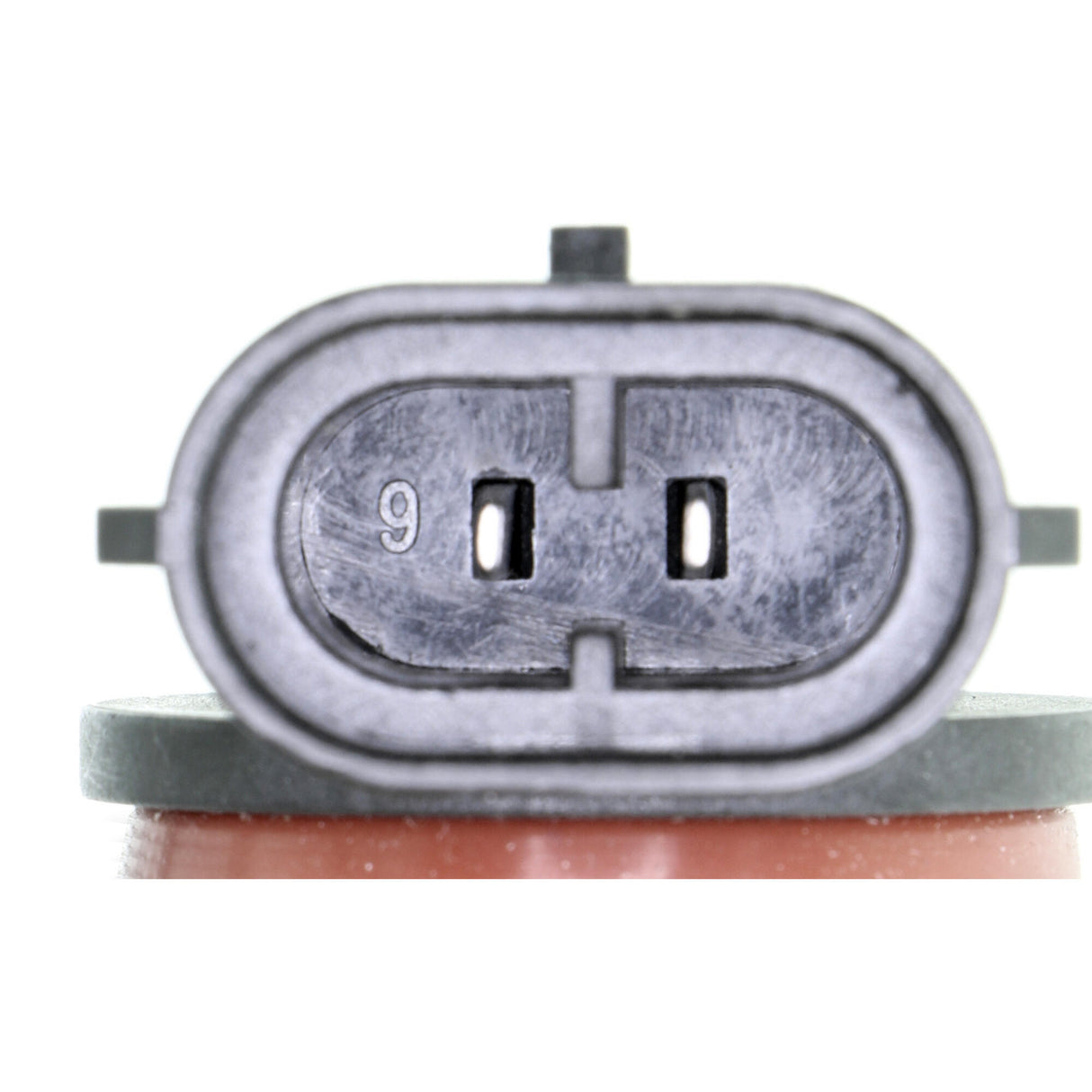 UNIVERSAL Bulb, headlight - VEMO V99-84-0075