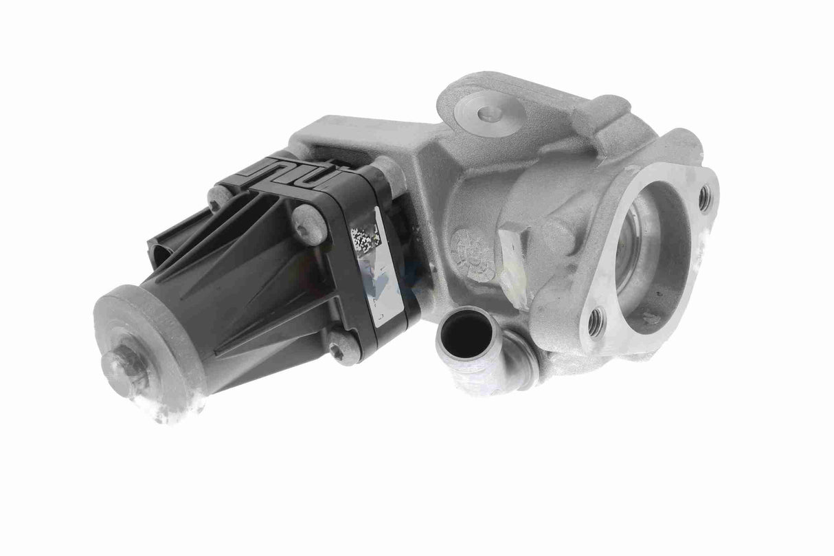 Valve, exhaust gas recirculation - V22-63-0019