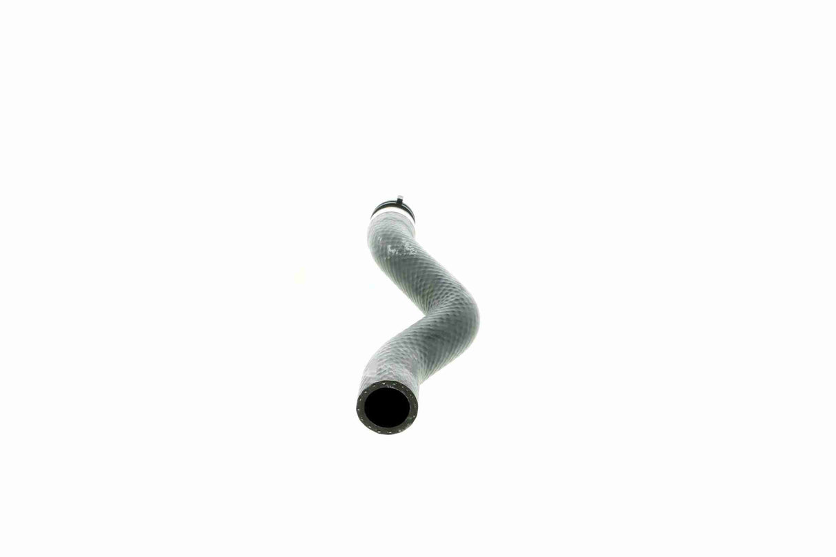 Radiator Hose - V20-2414