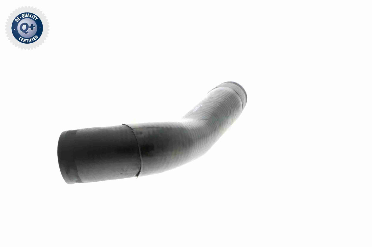 Charge Air Hose - V10-2934