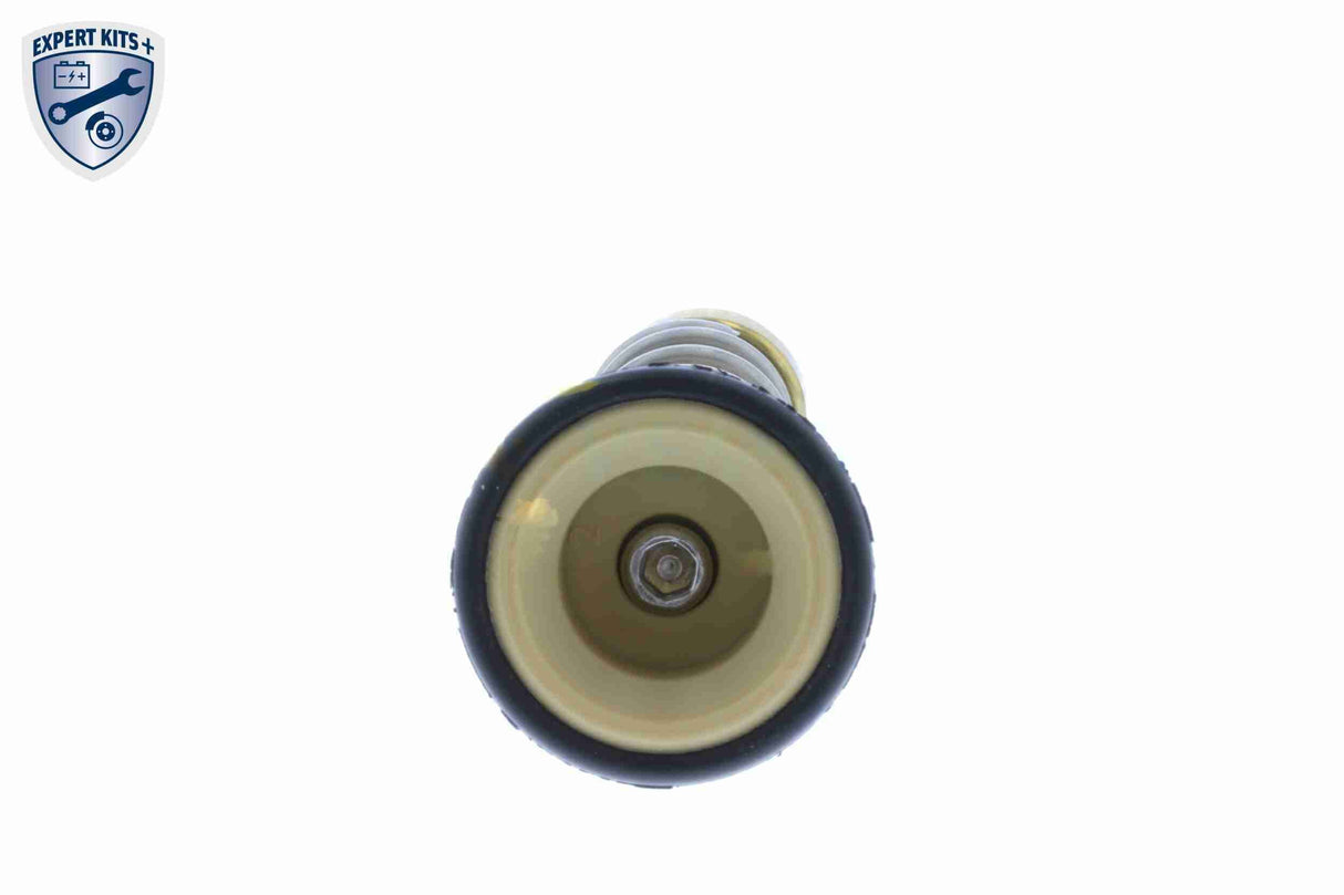 Thermostat, coolant - V10-99-0003