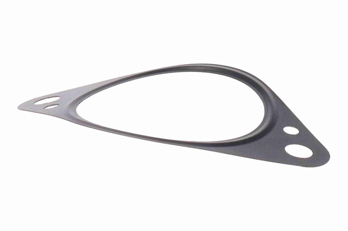 Gasket, EGR valve - V10-63-9167