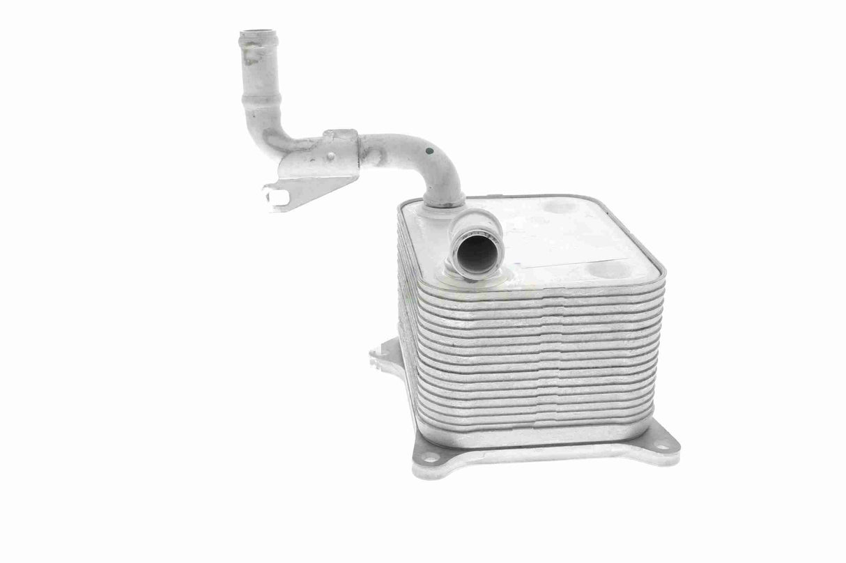 Oil Cooler, engine oil - V15-60-0013