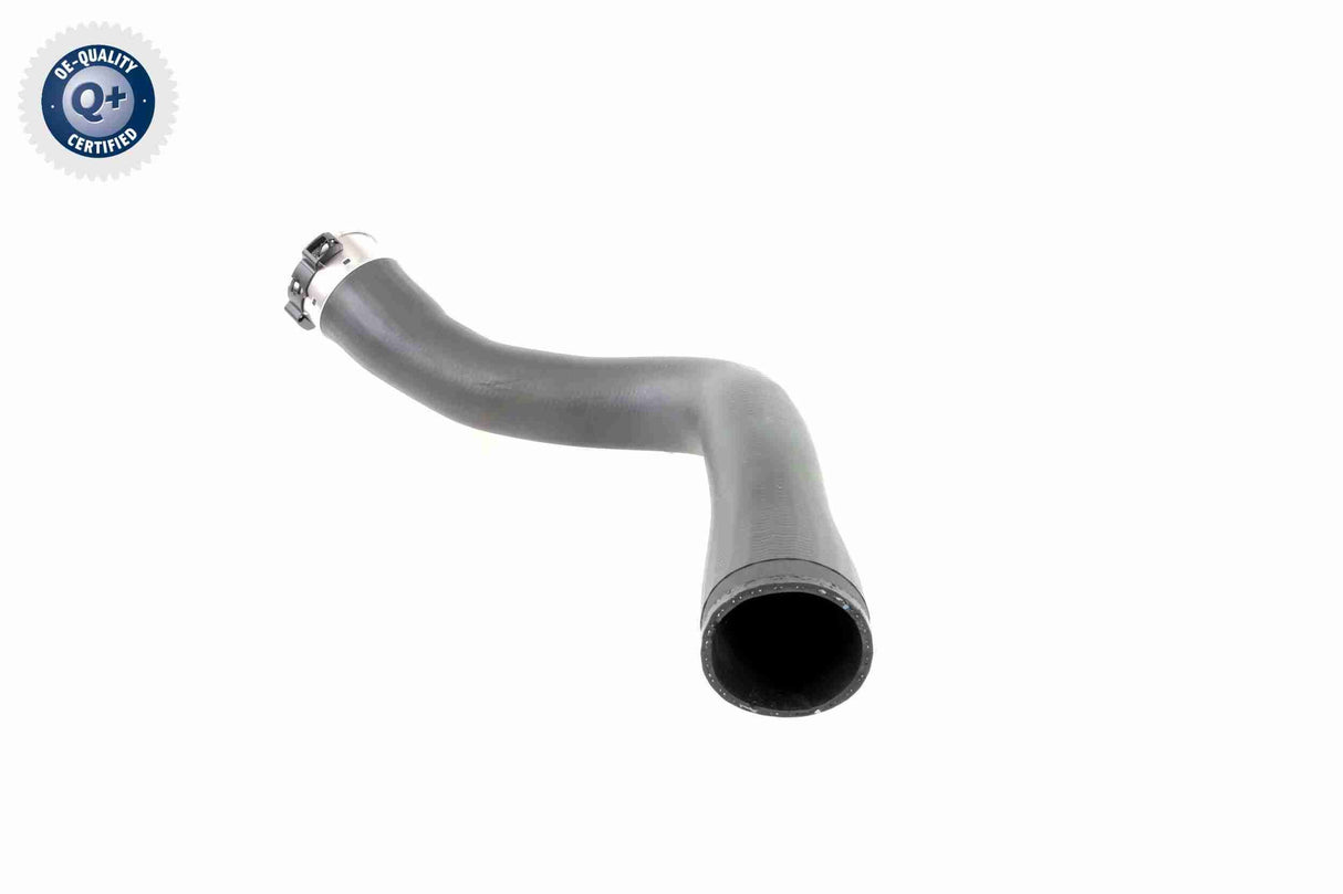 Charge Air Hose - V40-1364