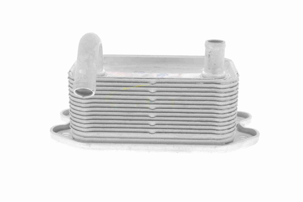 Oil Cooler, engine oil - V95-60-0020