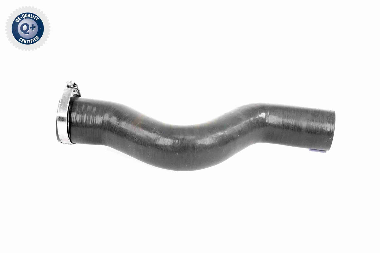Charge Air Hose - V46-1034