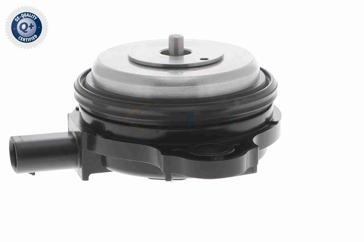 Central Magnet, camshaft adjustment - V20-3666