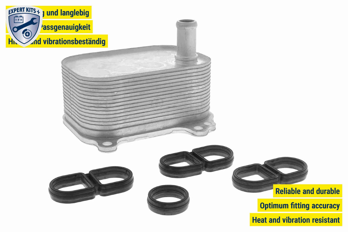 Oil Cooler, engine oil - V10-60-0066
