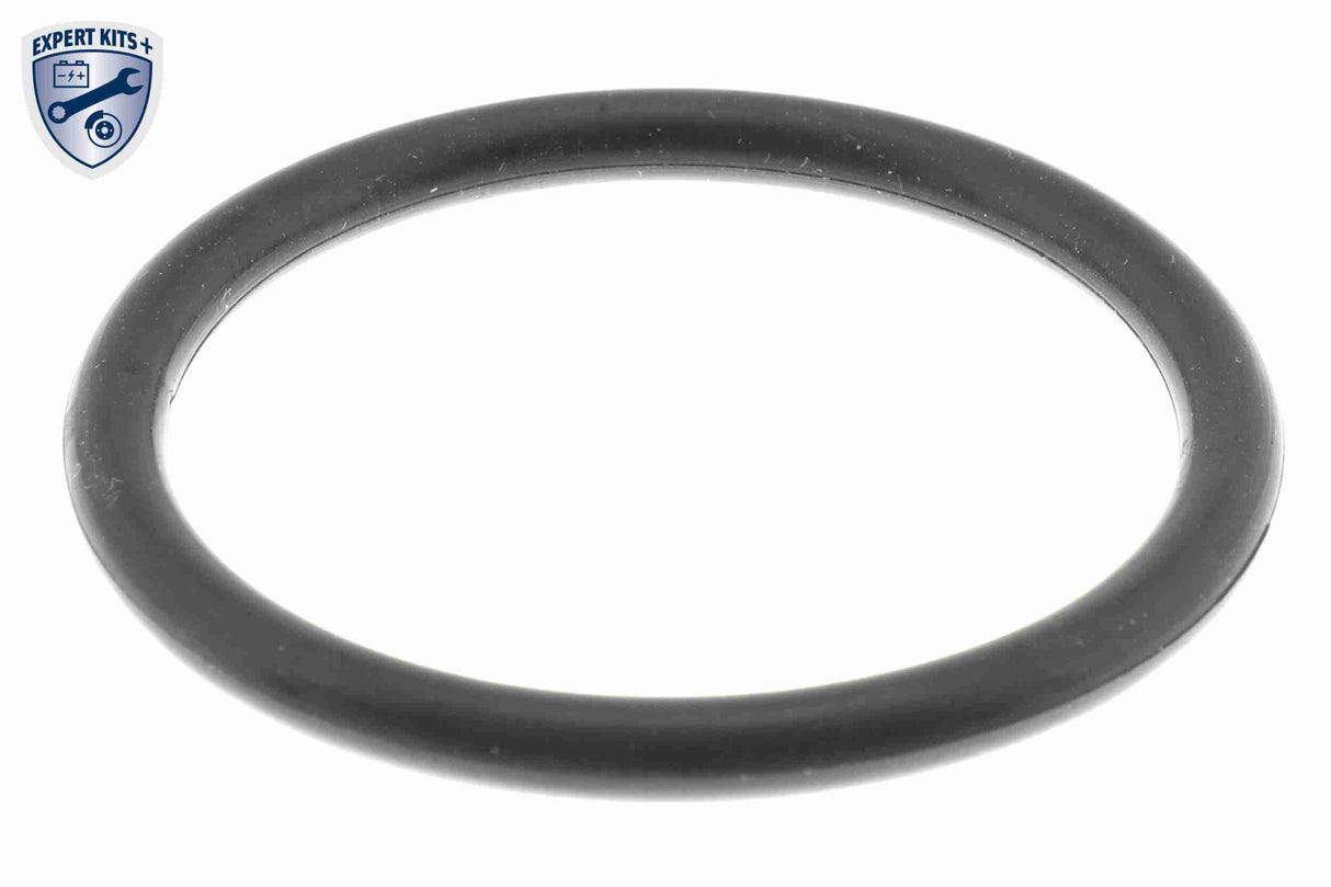 Thermostat Housing - V30-99-0207