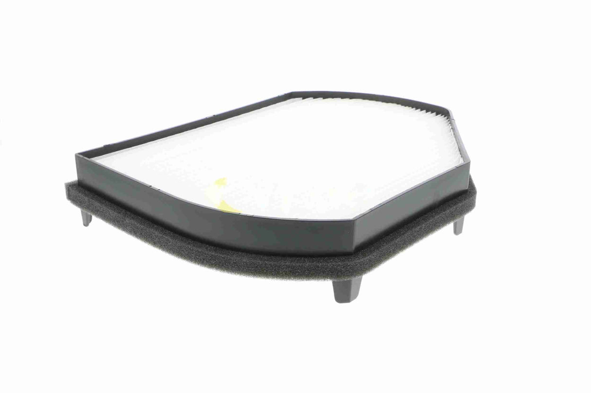 Filter, cabin air - V30-30-1019-1