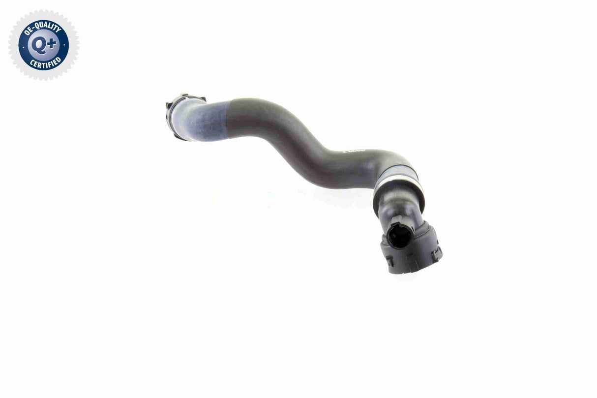 Radiator Hose - V20-1764