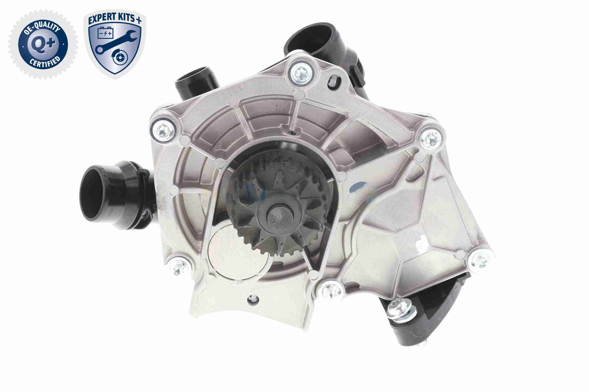 Repair Kit, water pump - V10-4919