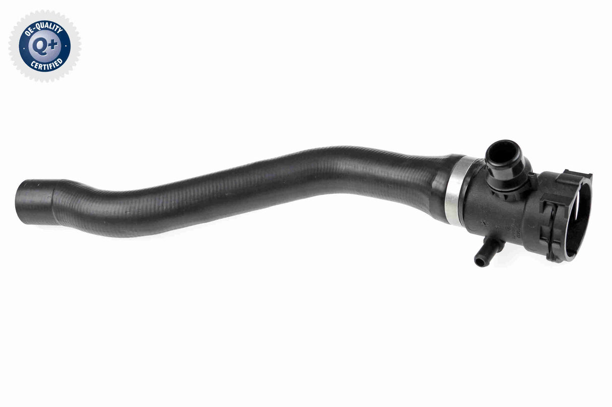 Radiator Hose - V20-0769