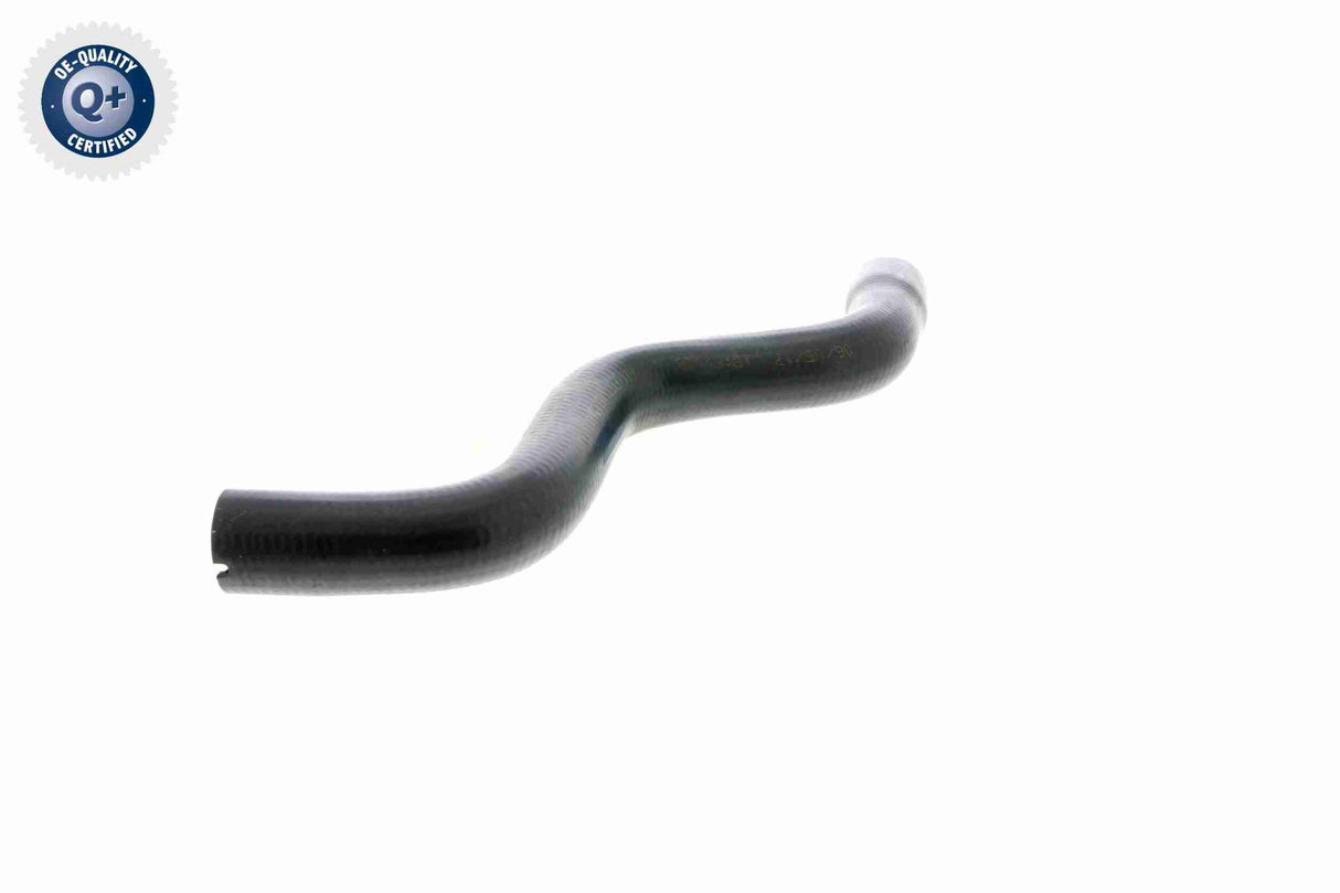 Radiator Hose - V24-0875