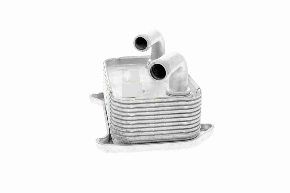 Oil Cooler, engine oil - V95-60-0010