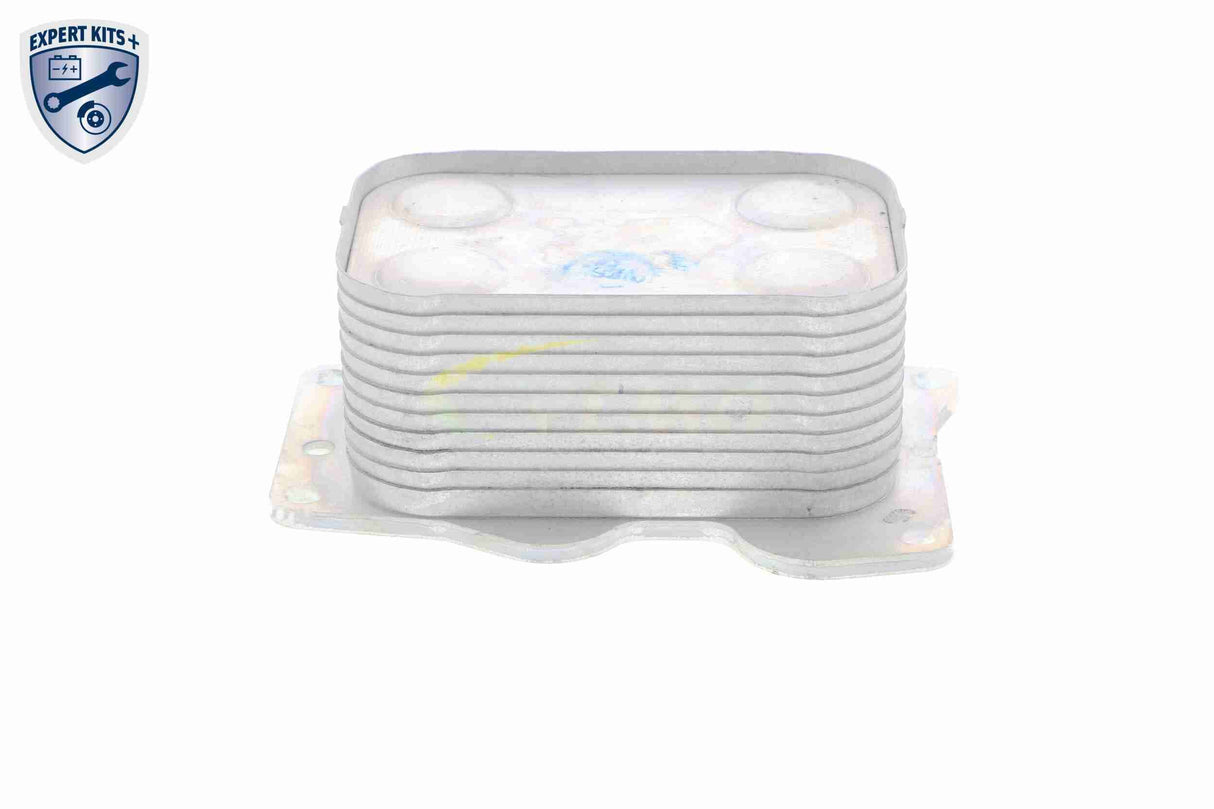 Oil Cooler, engine oil - V25-60-0025