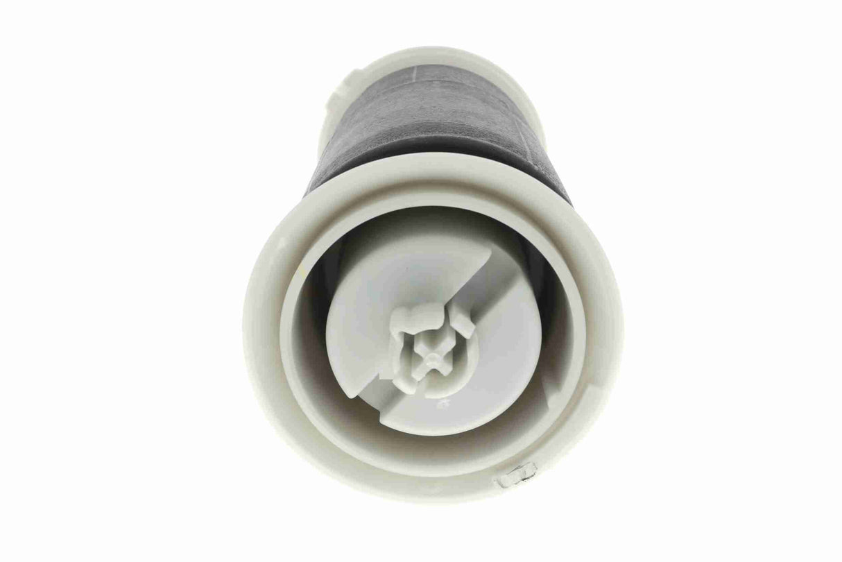 Air Suspension Strut - V20-50-0007