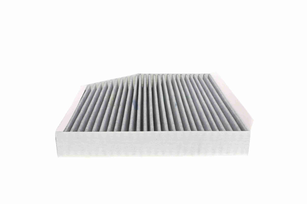 Filter, cabin air - V10-31-1004