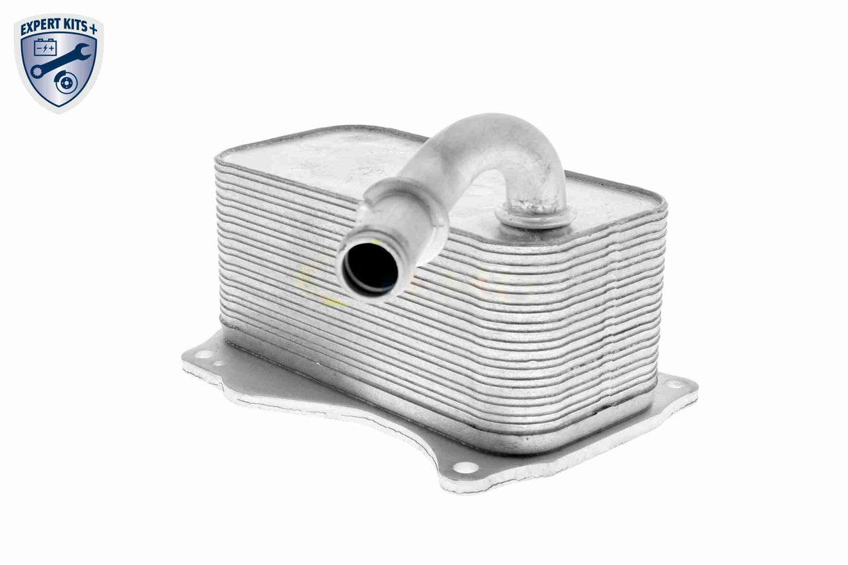 Oil Cooler, engine oil - V30-60-1342