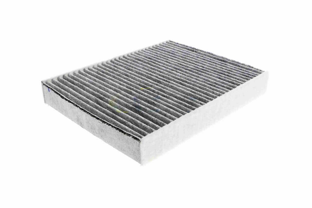 Filter, cabin air - V25-31-1001-1