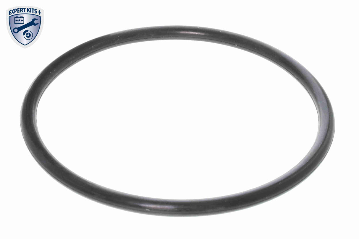 Thermostat, coolant - V20-99-1254