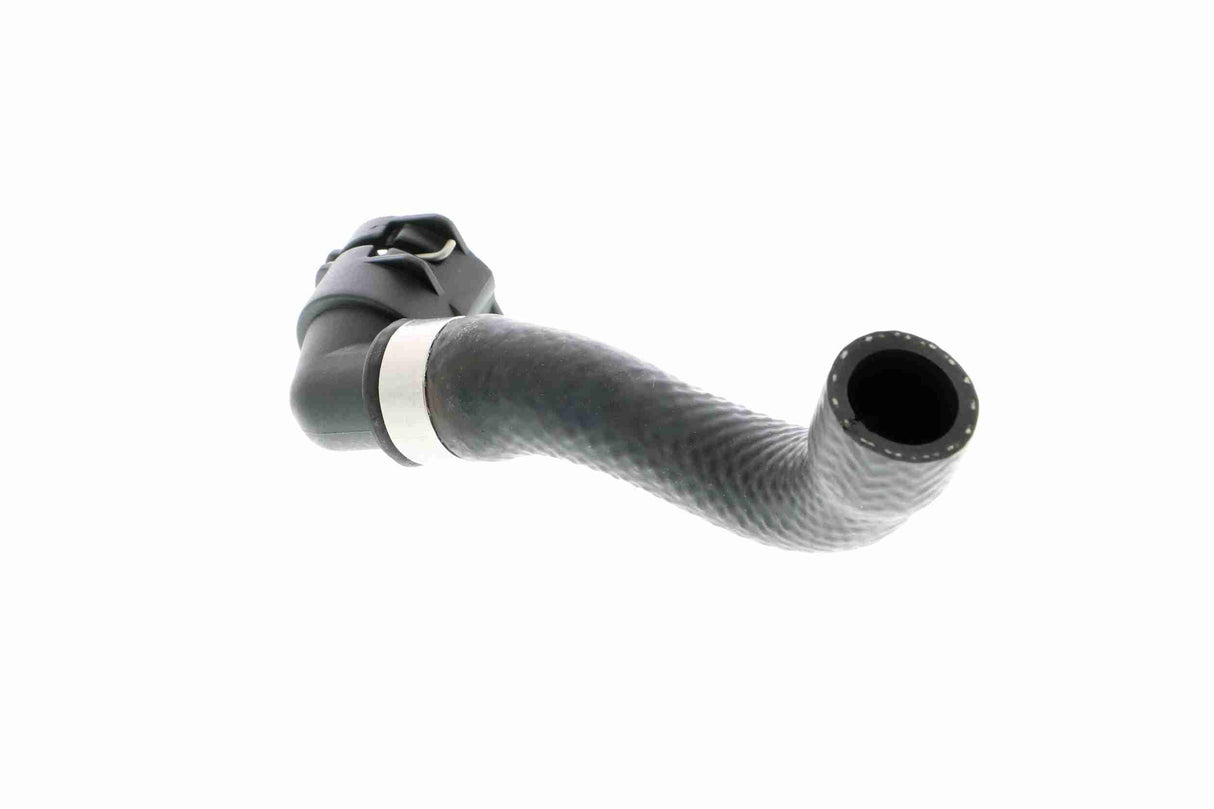 Radiator Hose - V20-1667
