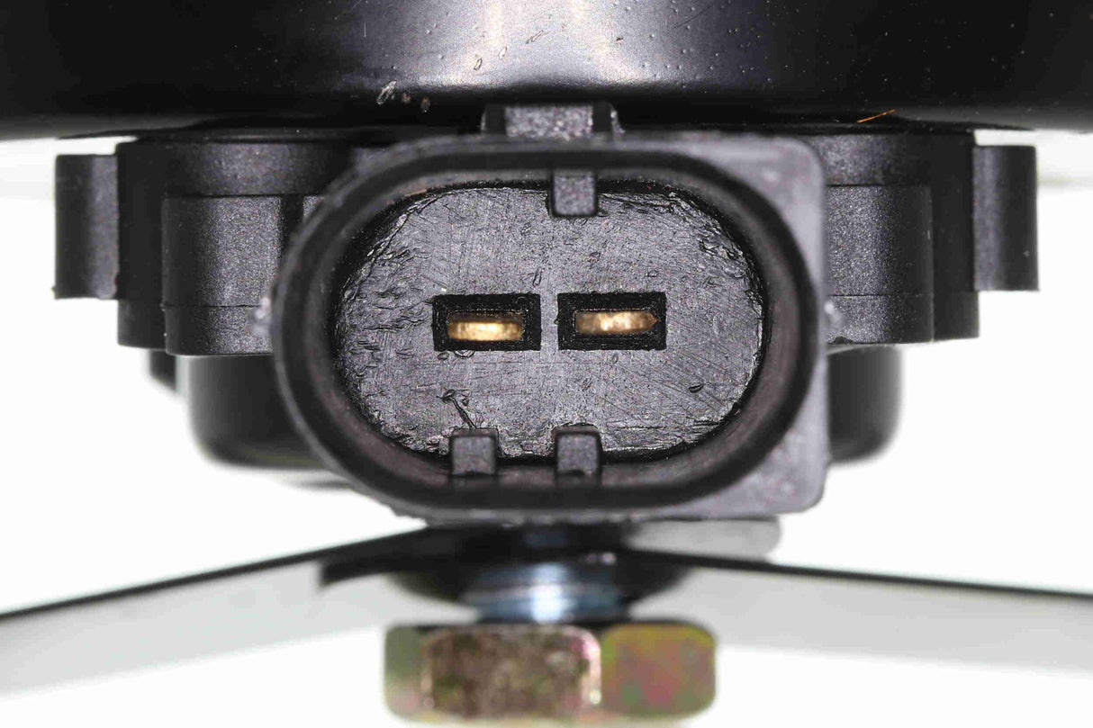 Signal Horn - V10-77-0928