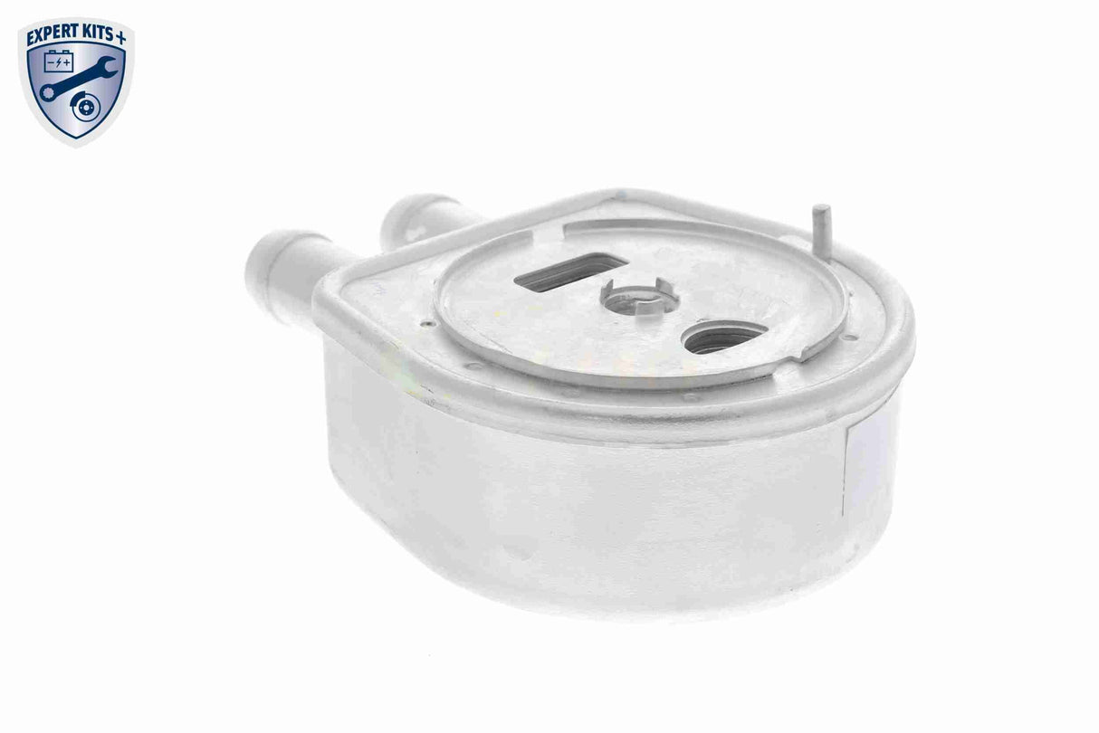 Oil Cooler, engine oil - V25-60-0047