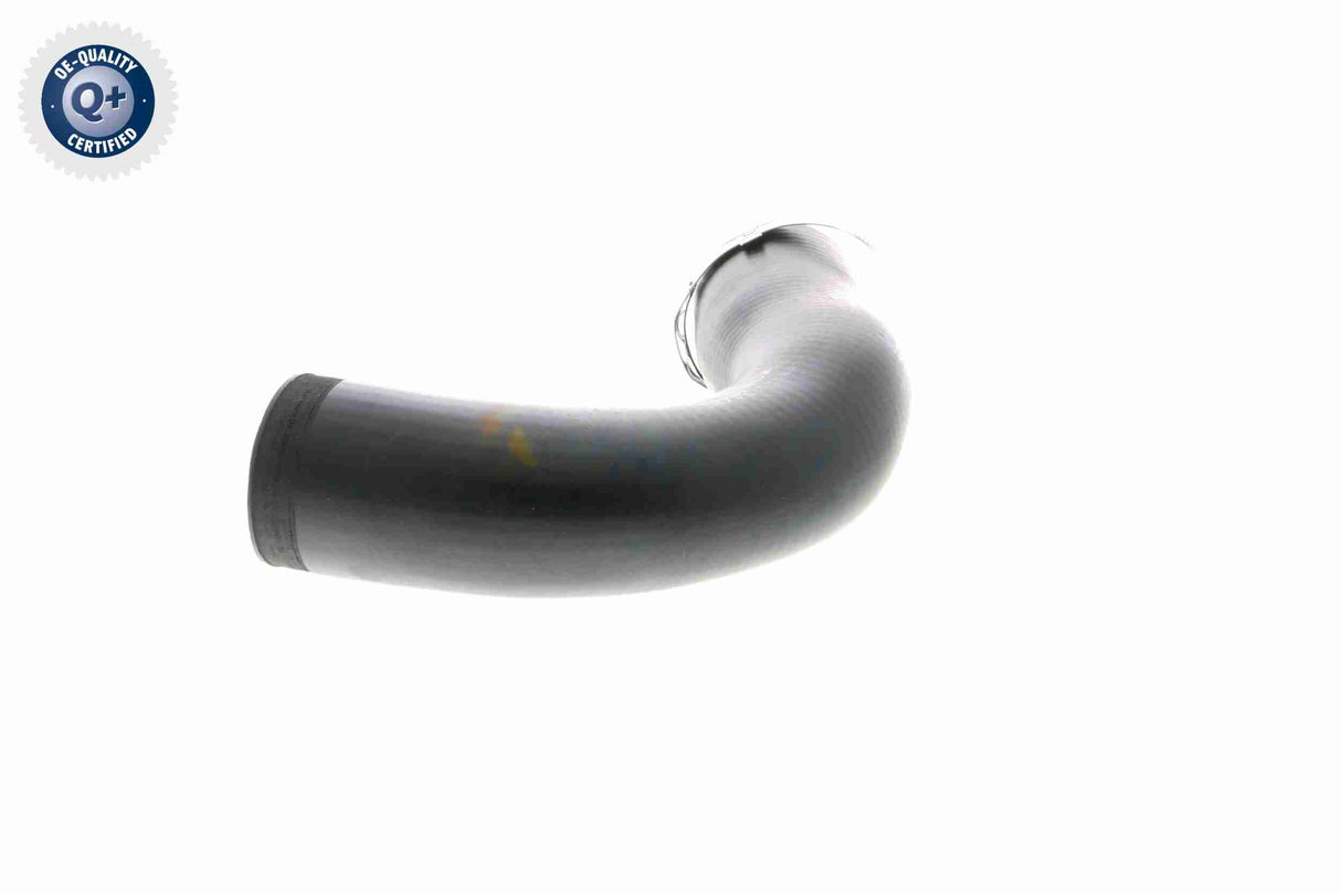 Charge Air Hose - V10-2830