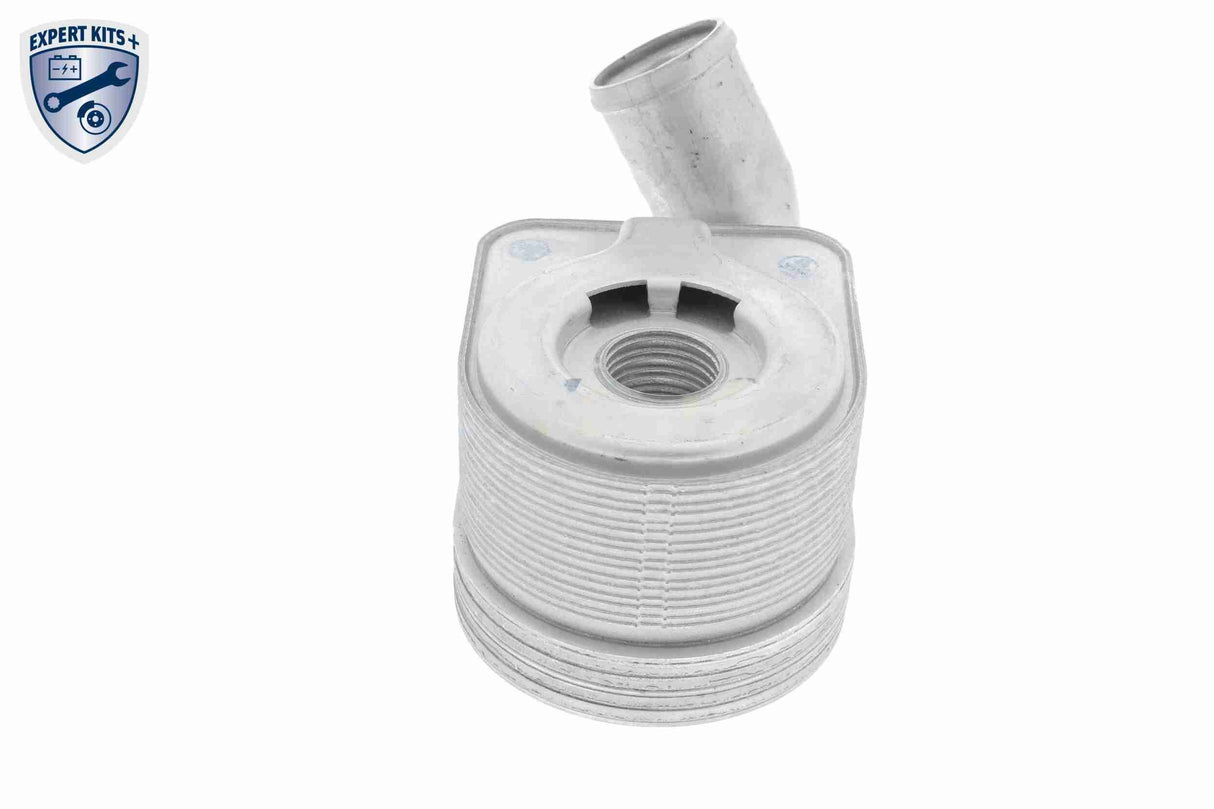Oil Cooler, engine oil - V24-60-0011