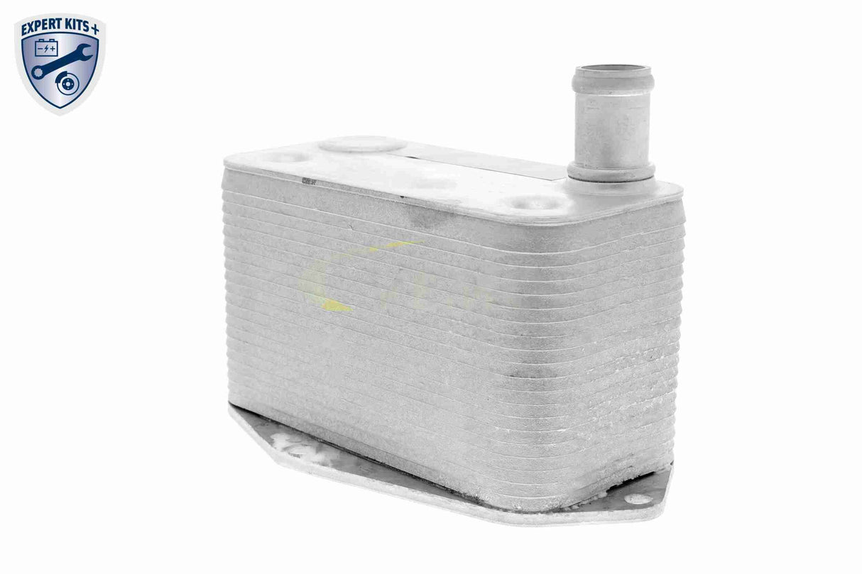 Oil Cooler, engine oil - V20-60-0057