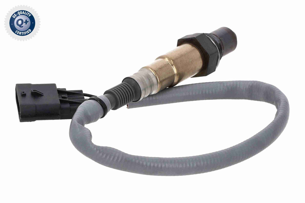 Oxygen Sensor - V30-76-0055